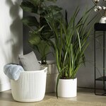 Curver Panier de rangement Knit Rond L 30 L Blanc crème