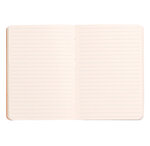 carnet souple RHODIARAMA FRAMBOISE 144p pap ivoire Clf ferm. élast. CLAIREFONTAINE