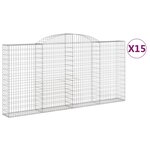 vidaXL Paniers à gabions arqués 15 Pièces 300x30x140/160 cm fer galvanisé