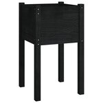 vidaXL Jardinières d'extérieur 2Pièces Noir 40x40x70cm Bois de pin massif