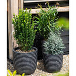Capi Pot à fleurs Nature Row élégant bas 36x47 cm anthracite KRWZ782