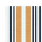 vidaXL Tissu de remplacement pour auvent rayures multicolores 4x3 m