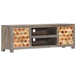 vidaXL Meuble TV Gris 120 x 30 x 40 cm Bois massif de manguier
