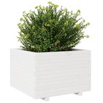 vidaXL Jardinière blanc 70x70x49 5 cm bois de pin massif