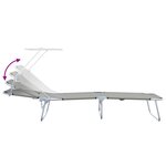 vidaXL Chaises longues pliantes 2 Pièces avec auvent en tissu Oxford gris 600D