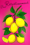 Carte FLUO Bon RÉTABLISSEMENT Citrons Jaunes Santé Avec Enveloppe 12x17,5cm