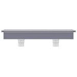 vidaXL Déversoir pour cascade avec LED RVB Acrylique 60 cm