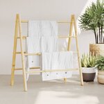 vidaXL Échelle à serviettes double avec 4 échelons 90x50x100 cm bambou