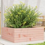vidaXL Jardinière 60x60x23 cm bois massif douglas