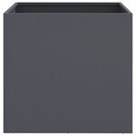vidaXL Jardinières 2 Pièces anthracite 49x47x46 cm acier laminé à froid