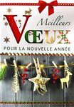 Lot 10 cartes identiques bonne année meilleurs vœux avec 10 enveloppes blanches