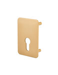 THIRARD - Plaque de renfort cylindre profilé pour verrou Capital  fixation par vis  époxy bronze