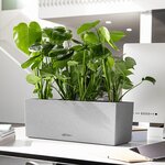 LECHUZA Jardinière BALCONERA Stone 50 ALL-IN-ONE Gris
