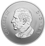 Pièce de monnaie en Argent 10 Dollars g 15.87 Millésime 2025 WELCOME TO THE WORLD