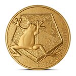 Harry potter - chocogrenouille mini-médaille