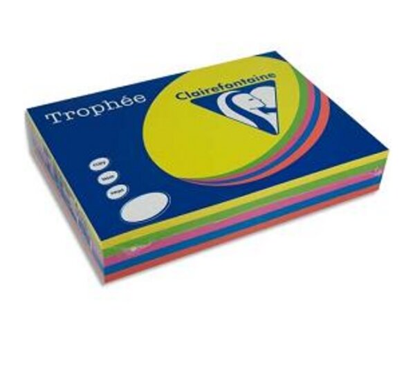 Ramette 500 Feuilles Papier 80g A3 420x297 mm Certifié FSC couleurs assorties fluorescentes x 5 TROPHÉE