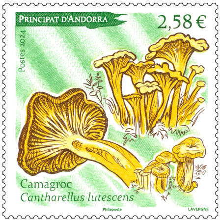 Timbre Andorre - Camagroc - Cantharellus lutescens