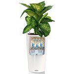 LECHUZA Jardinière Cilindro Color 32 ALL-IN-ONE Blanc 13950