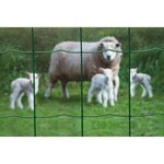 Nature Grillage métallique rectangulaire 0 6 x 10 m Vert