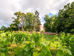 SMARTBOX - Coffret Cadeau Dégustation de 4 cuvées  balade et pique-nique pour 2 dans les jardins d’un château du Beaujolais -  Sport & Aventure