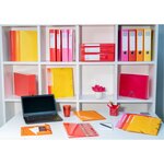 Boite De Classement En Polypropylène Dos 40mm Iderama Pp - A4 - Couleurs Assorties - X 4 - Exacompta