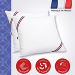2 Oreillers MERIBEL Plumettes 60 x 60 cm