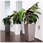 LECHUZA Jardinière Cubico Color 40 ALL-IN-ONE blanc 13150
