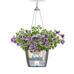 LECHUZA Jardinière suspendue NIDO Cottage 28 ALL-IN-ONE Moka