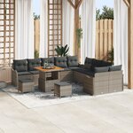 Ensemble de canapé de jardin 13 pièces avec coussins en poly rotin gris acacia