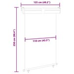 vidaXL Auvent latéral de balcon 125x250 cm noir