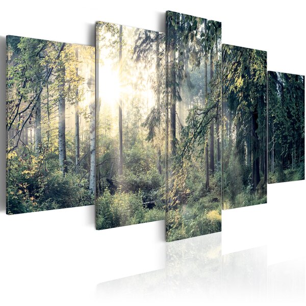 Tableau - fairytale landscape l x h en cm 200x100