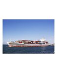 (lot  de 20) sac de 1 kg à répartir dans le container