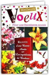 Lot 10 cartes identiques bonne année meilleurs vœux avec 10 enveloppes blanches