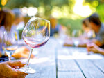 SMARTBOX - Coffret Cadeau Dégustation passionnante de 11 vins biologiques du Domaine de Sauzet au sud de Montpellier -  Gastronomie
