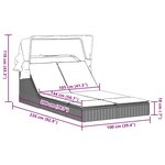 vidaXL Chaise longue double avec auvent et coussins marron poly rotin