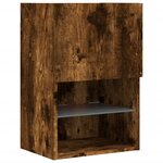 vidaXL Meuble TV avec lumières LED chêne fumé 40 5x30x60 cm