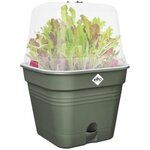 Pot De fleurs Carré - Plastique - Réservoir - Ø 20 - Leaf Green