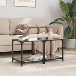 vidaXL Tables basses avec dessus en verre noir 2 Pièces 40x40x40 cm acier
