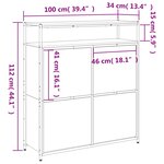 vidaXL Armoire à chaussures 4 tiroirs rabattables noir 100x34x112 cm