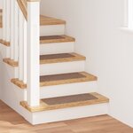 Tapis d'escalier vidaXL avec backing en latex Marron 25x60 cm