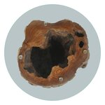 vidaXL Table basse Teck Verre 50x40 cm