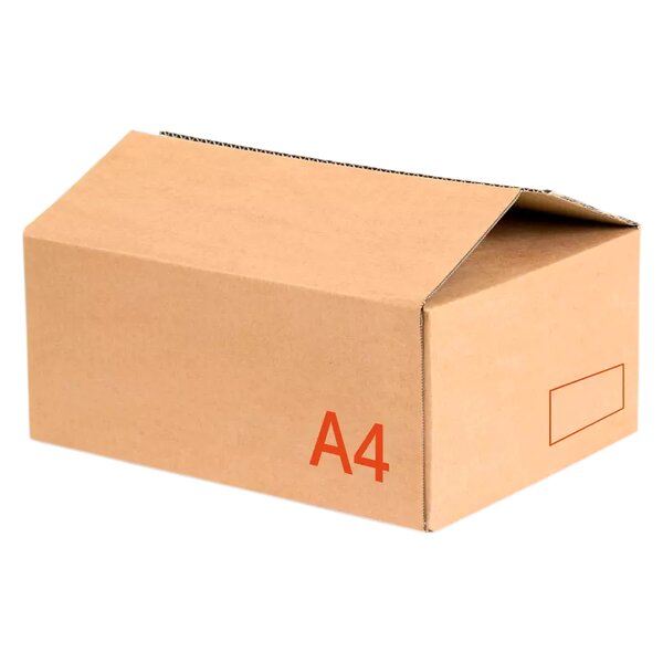 Caisses norme automobile – (50) Carton brun 50x120x30 cm – Bulteau Systems