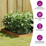 vidaXL Lit surélevé de jardin 100x100x18 5 cm acier corten