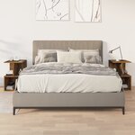 vidaXL Tables de chevet 2 Pièces Chêne fumé 35x35x55 cm Bois d'ingénierie