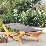 vidaXL Lit de repos extérieur 100x188 5x44 cm Bois courbé Anthracite