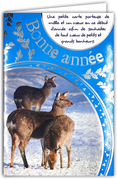 Carte bonne année meilleurs vœux avec enveloppe souhaitez beaucoup de bonheur