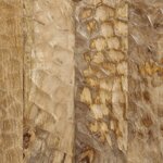 vidaXL Meuble TV 105x33x46 cm Bois massif de manguier