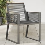 vidaXL Chaises de jardin lot de 2 Noir Résine tressée