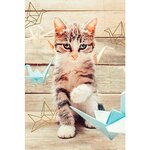 Carte De Voeux Mini - Chat - Draeger paris