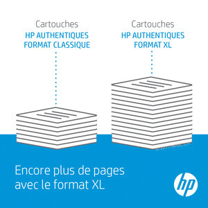 Pack 2 cartouches d'encre hp 300 ( noir  couleur)